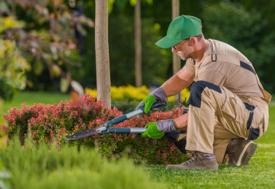 Landscaping near Baytown, Texas